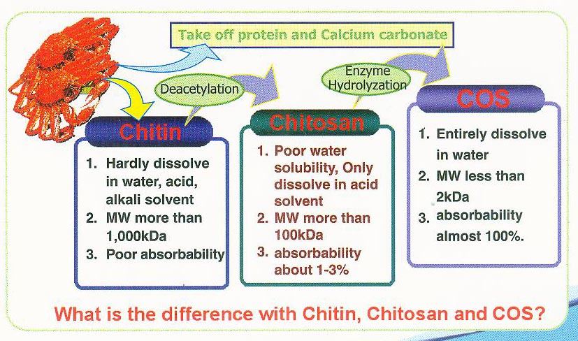 Chitosan  anybody have a good source
