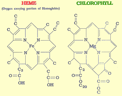 Chloro