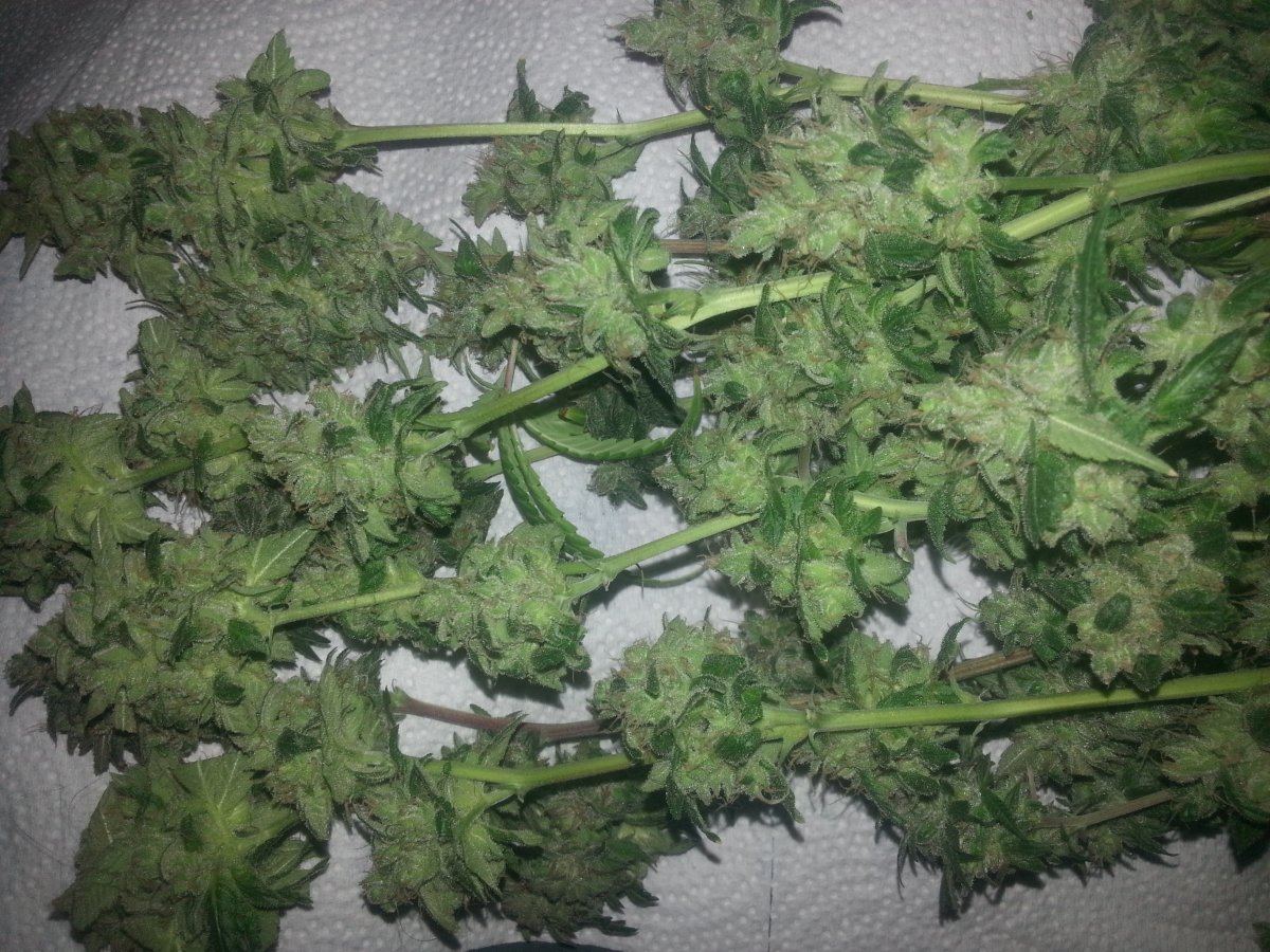 Chop