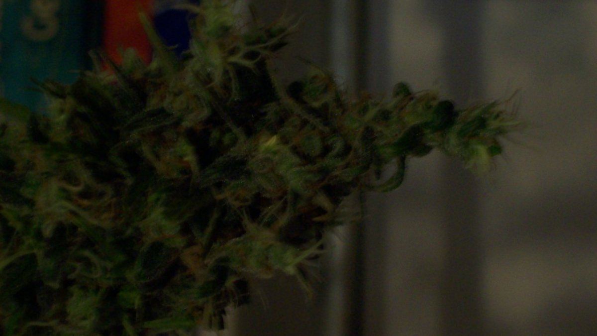 Christmas chop 015