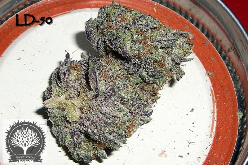CIMG0025