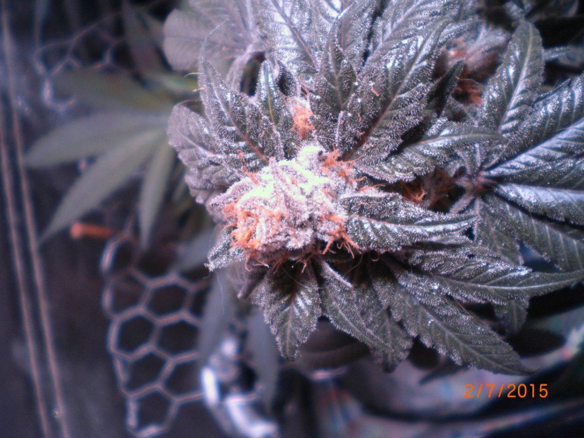 CIMG1563