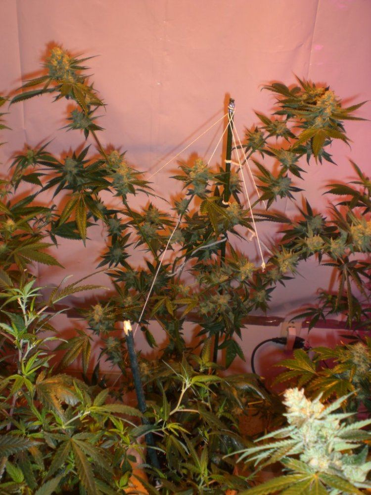 CIMG4172