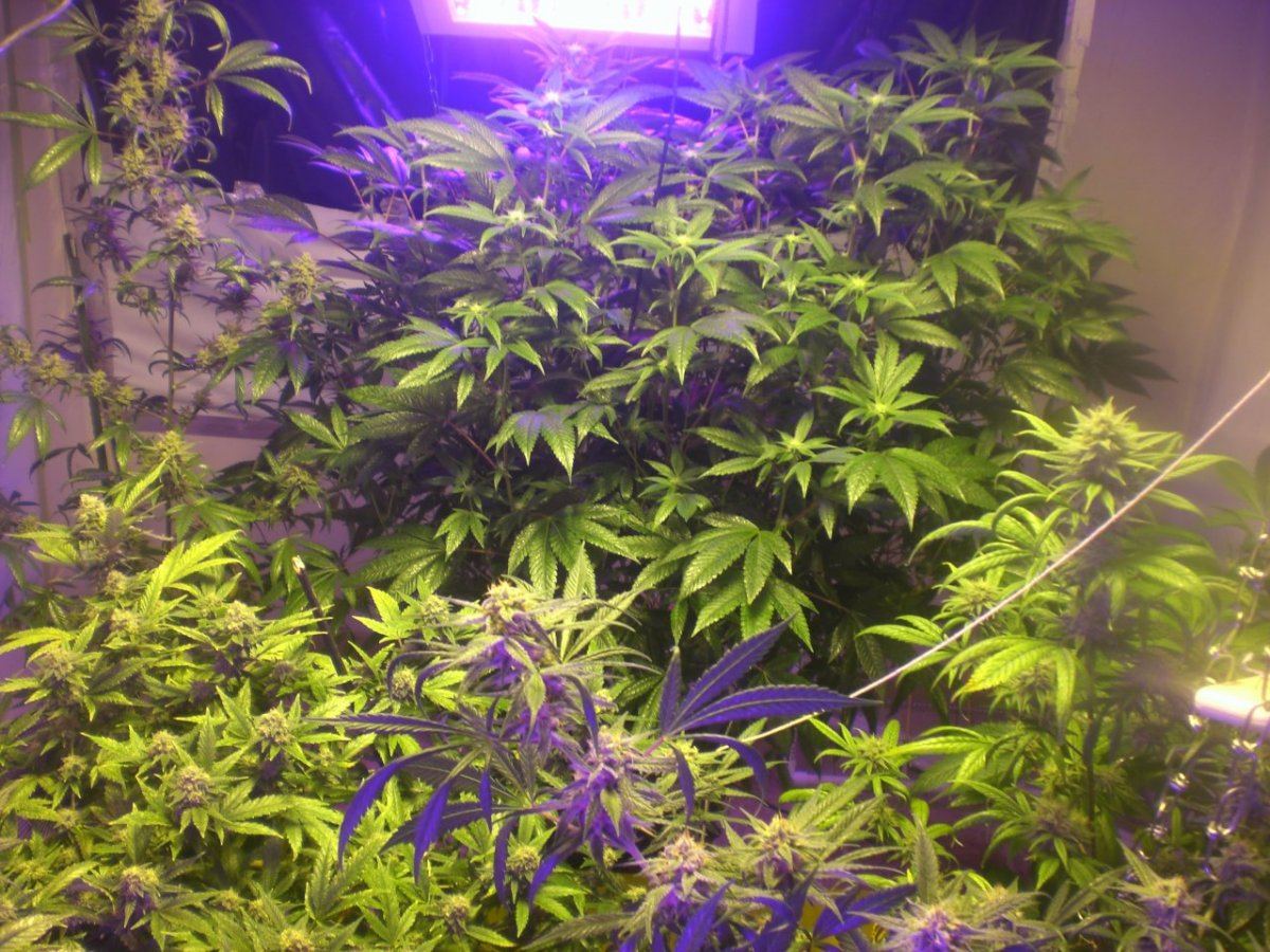 CIMG4281