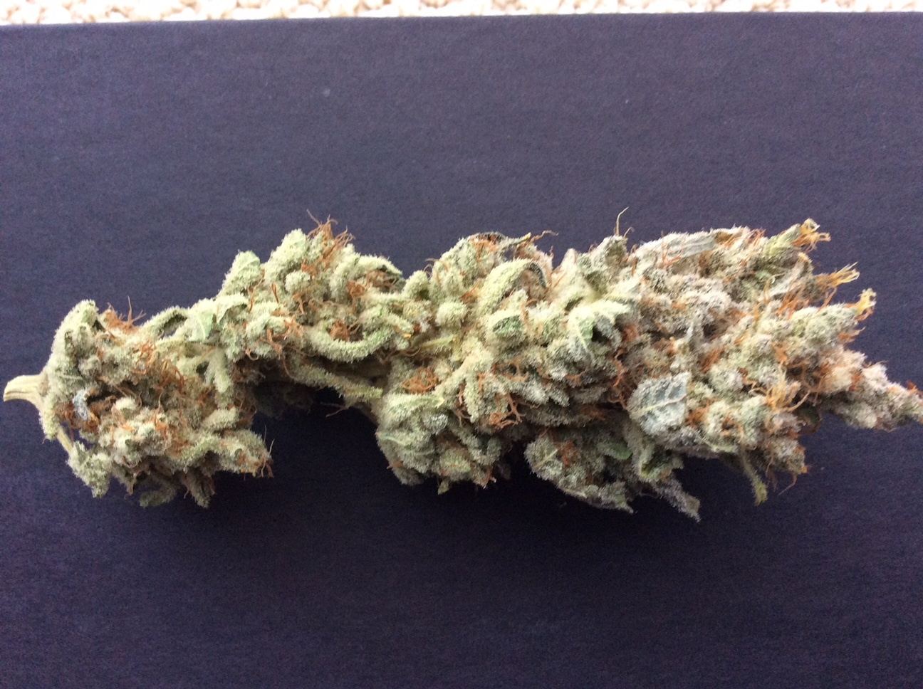 Citral glue