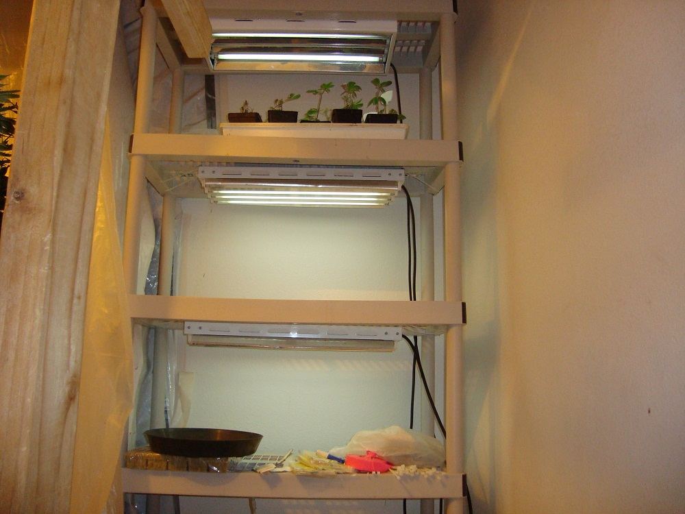 Clone shelf 001