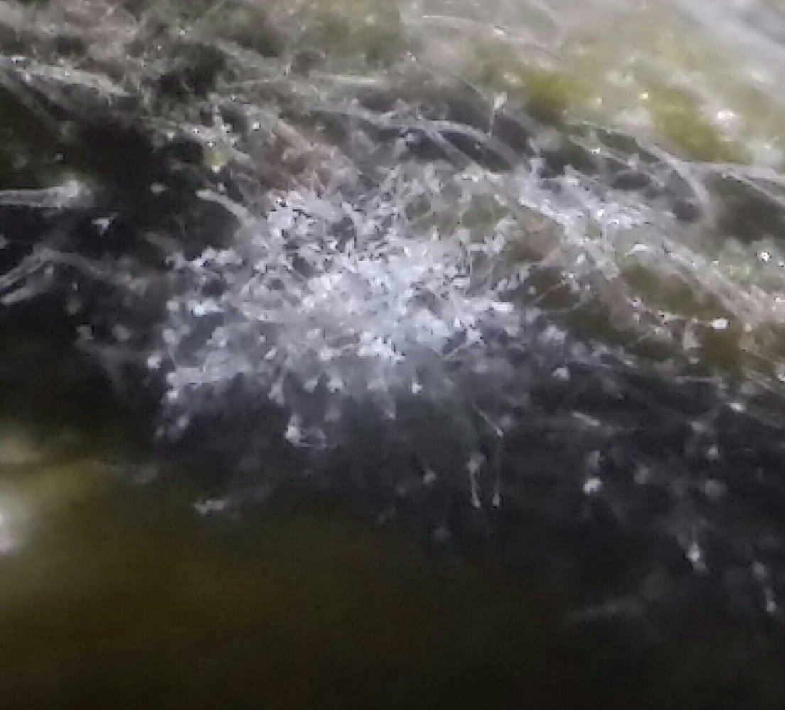 CM140122 120348 1