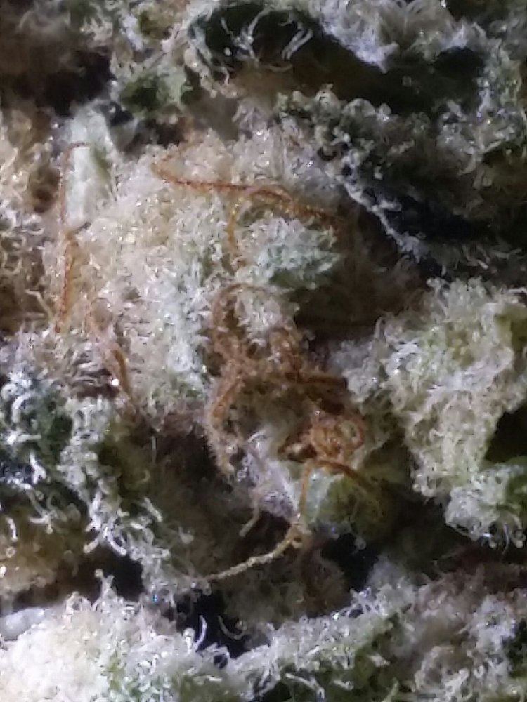 CM140122 122846