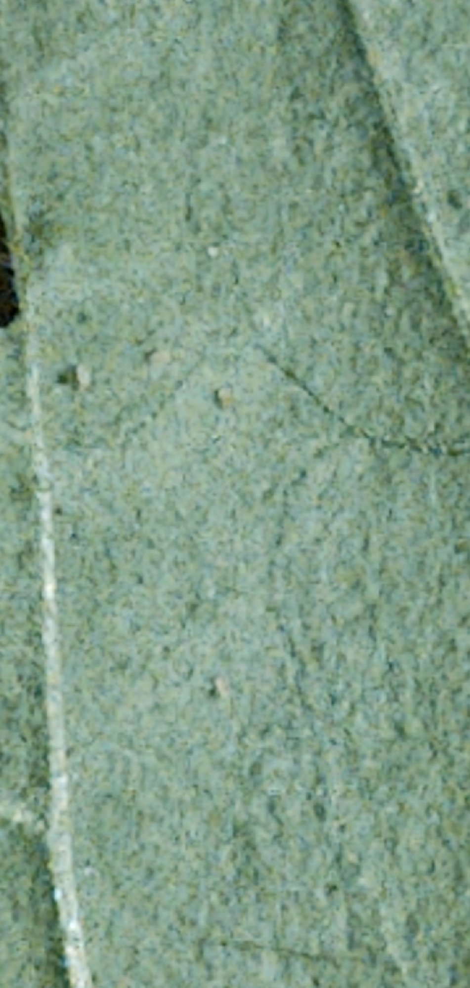 CM201027 194030007