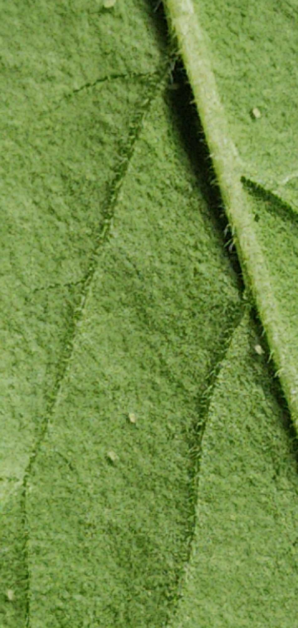 CM201027 211705011