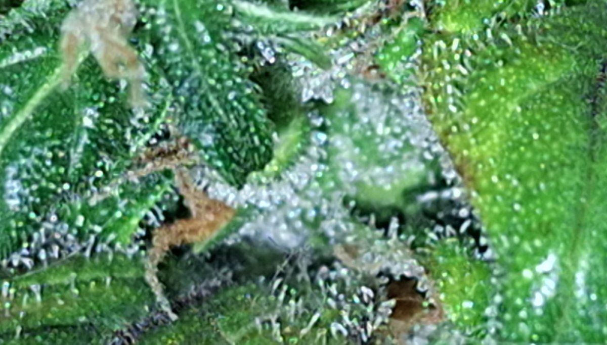 CM240713 120452014