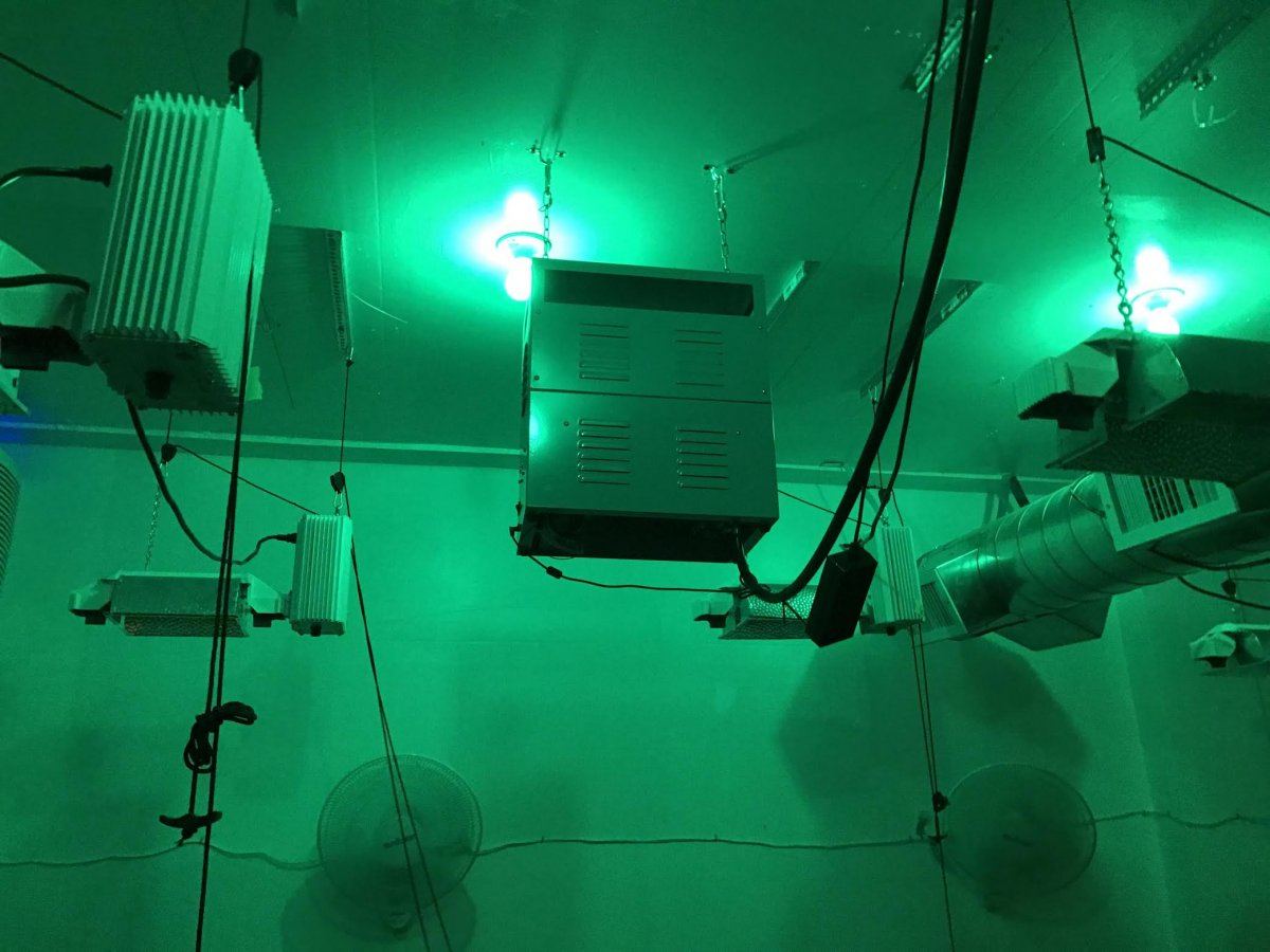 Co2 generator