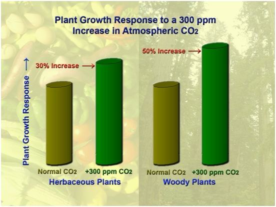 CO2 growth rates