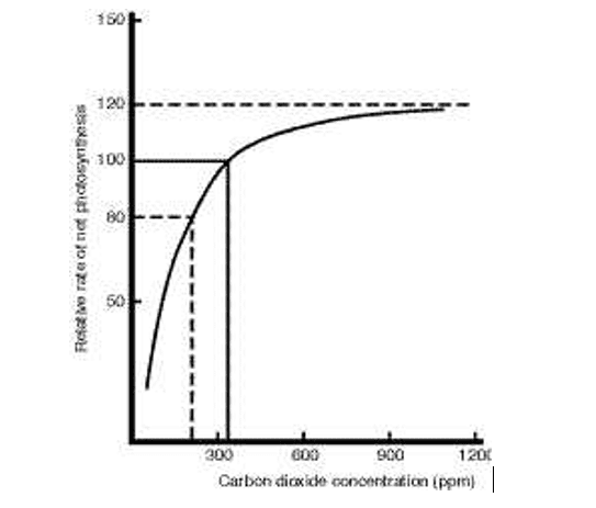 CO2