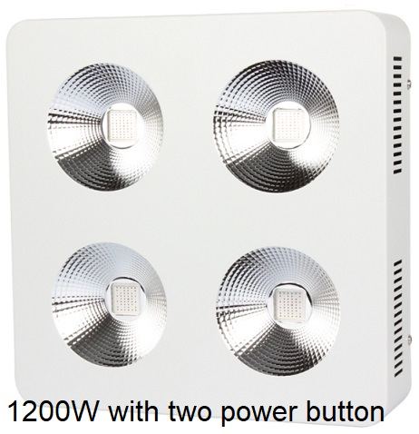 Cob led