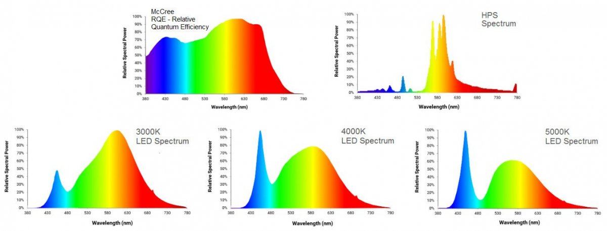 Cob spectrums vs hps