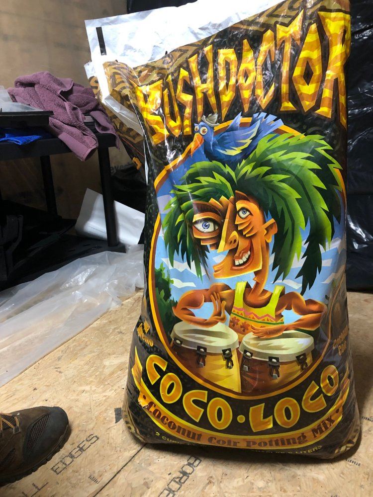 Coco Loco 001