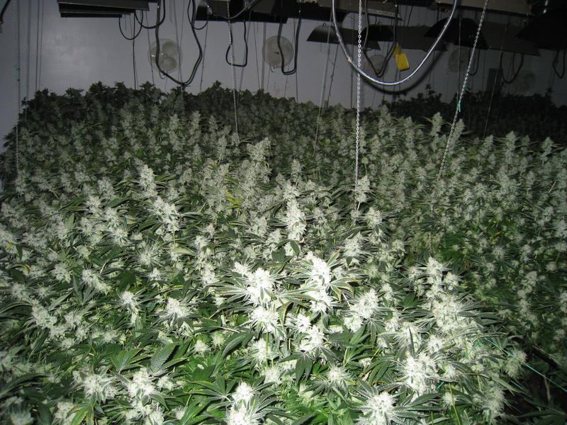 Coco vs hydro 6 19 045