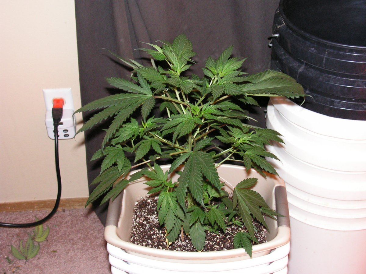 COCO14