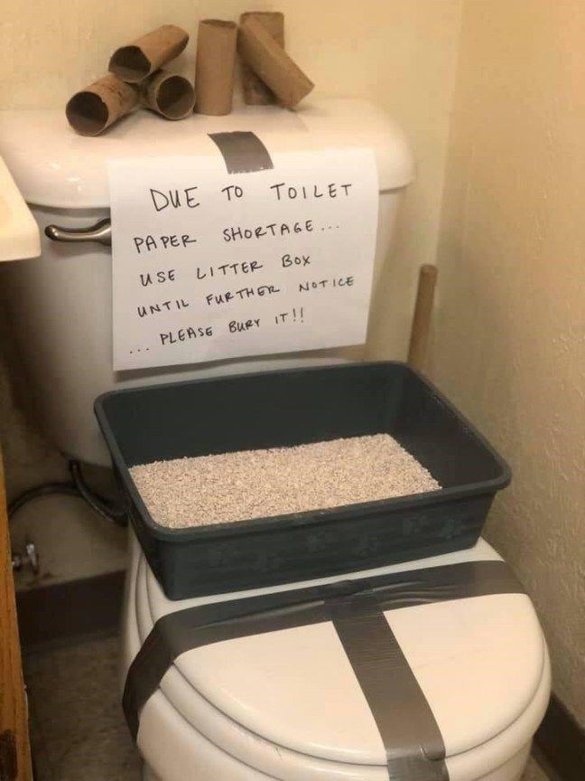 Coivd TP catlitter