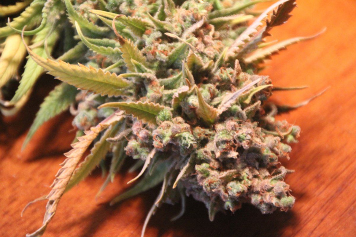 Cola detail