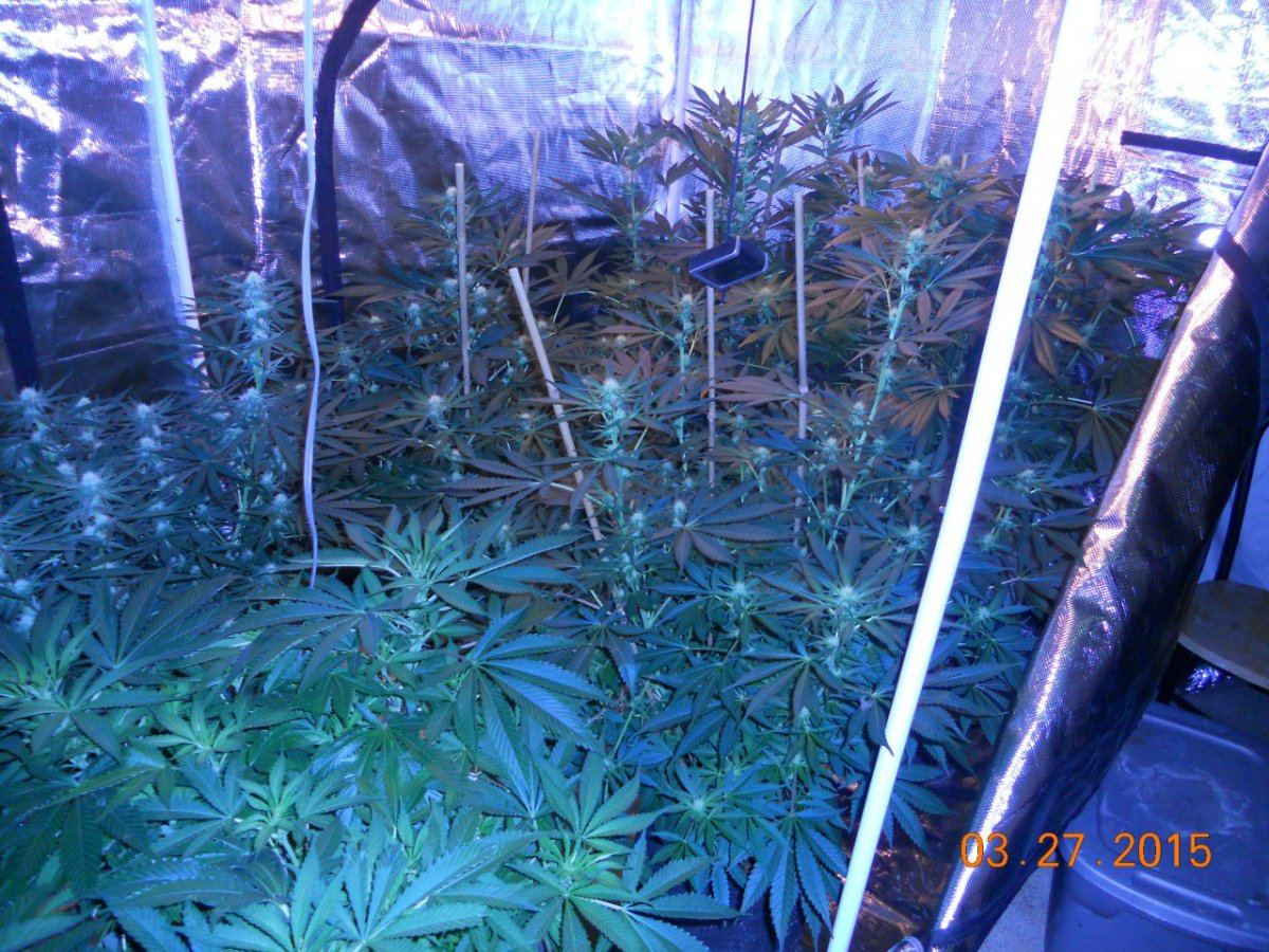 Colas n shit week3 014