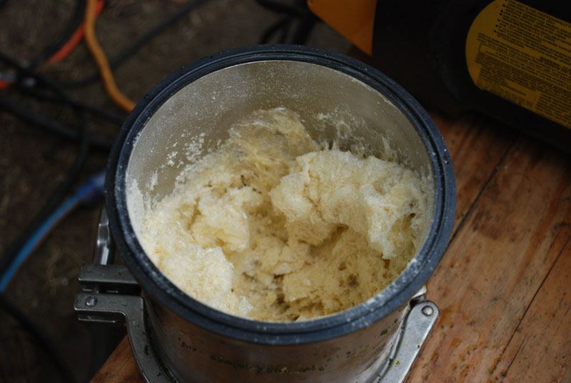 Cold extract 1 1