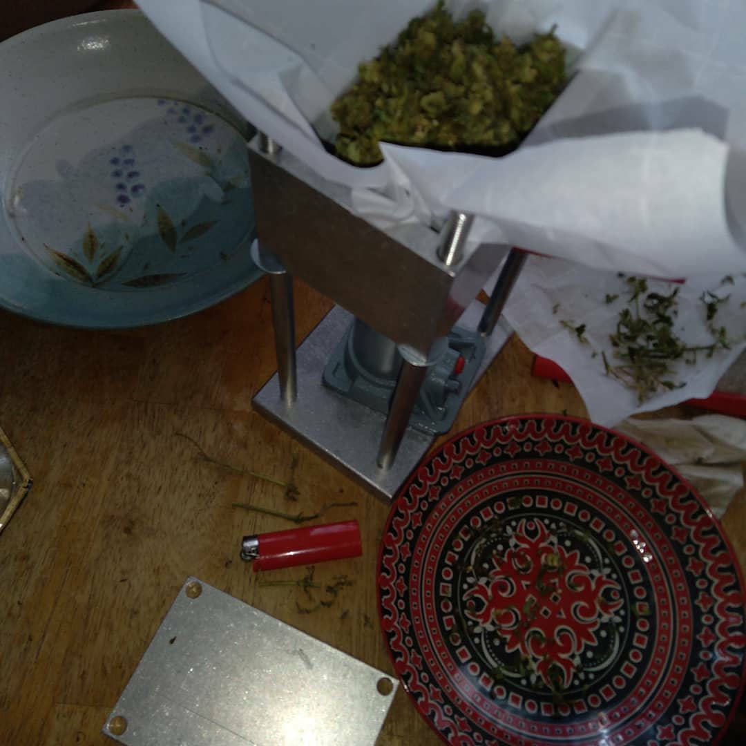 Cold press flower hash its time to be experience 3