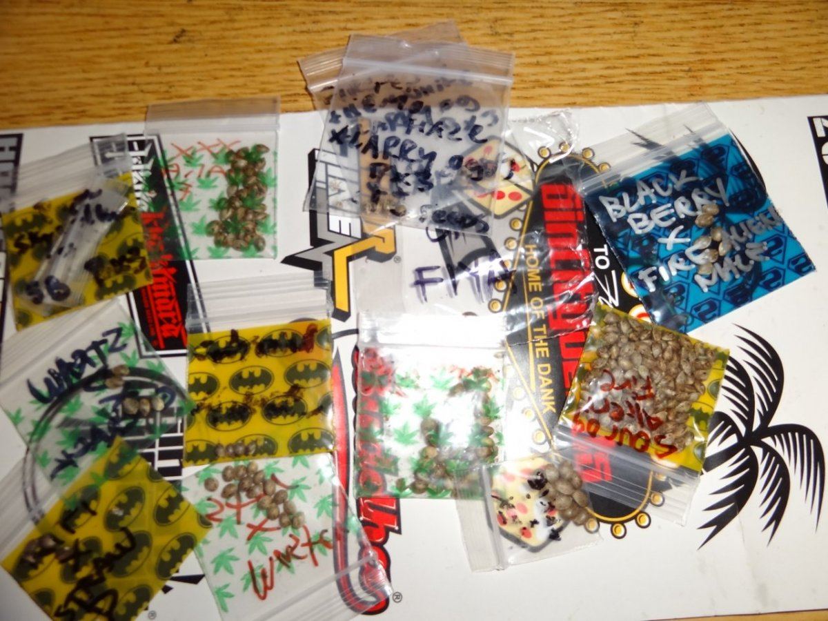 Collection 042