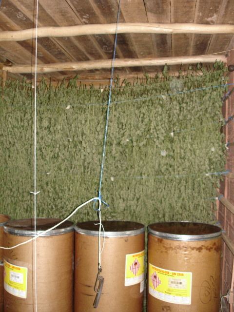 Colombia 001
