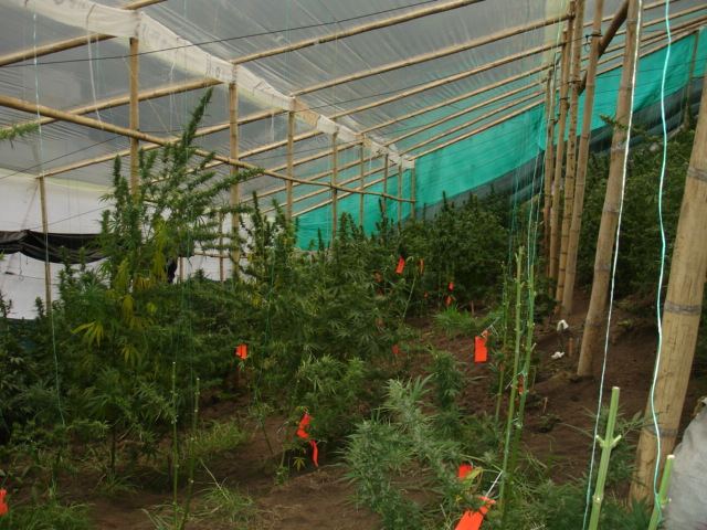 Colombia 015