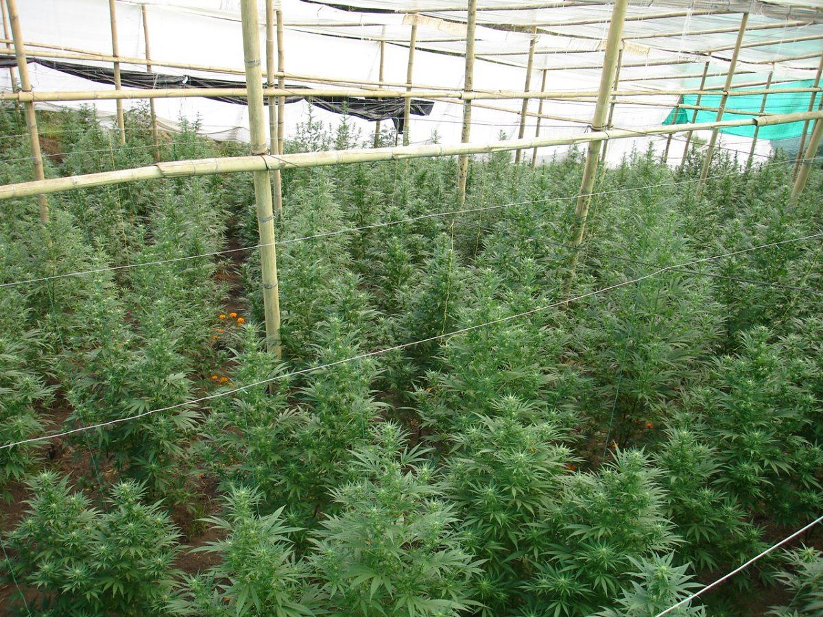 Colombia 023