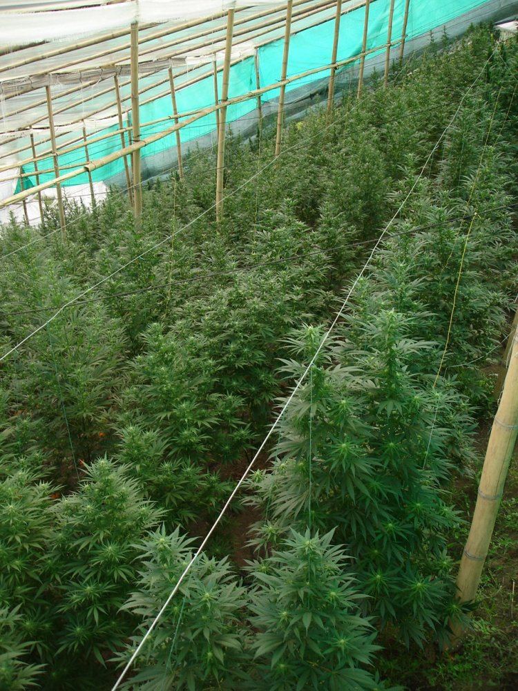 Colombia 024