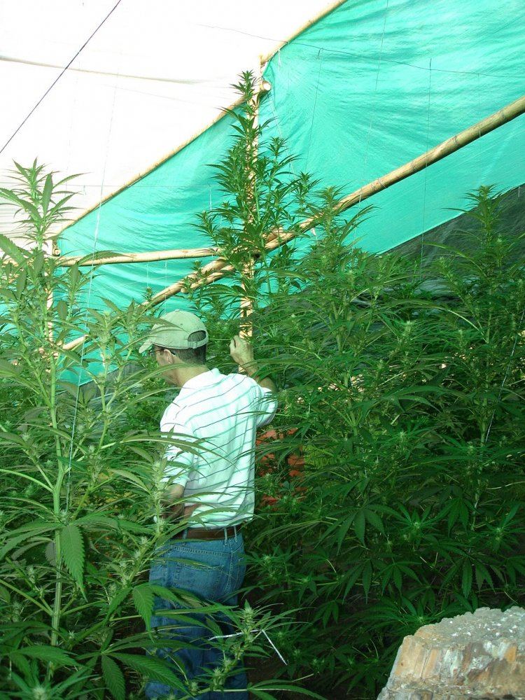 Colombia 029