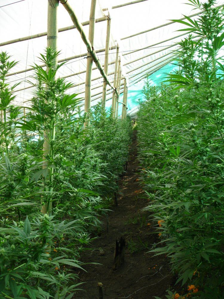 Colombia 034