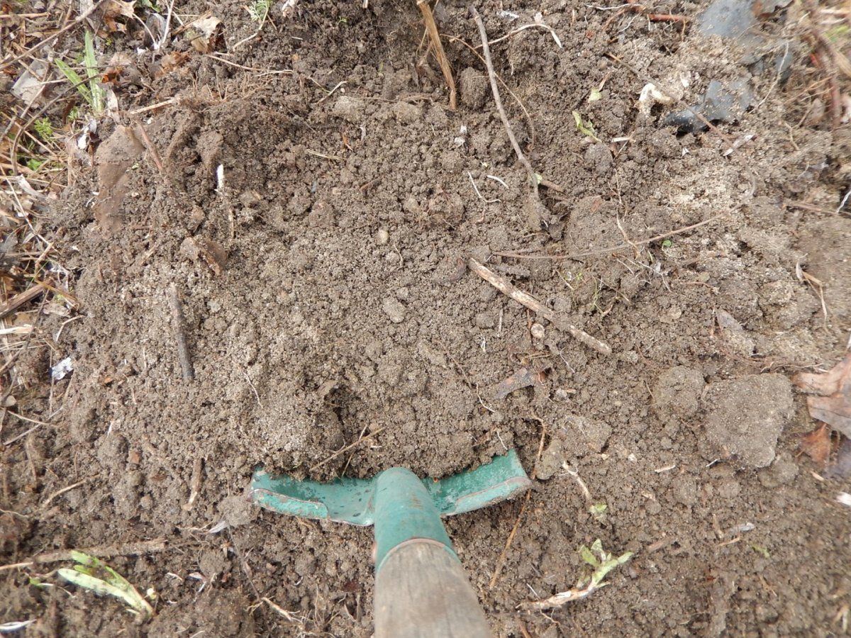 Compost