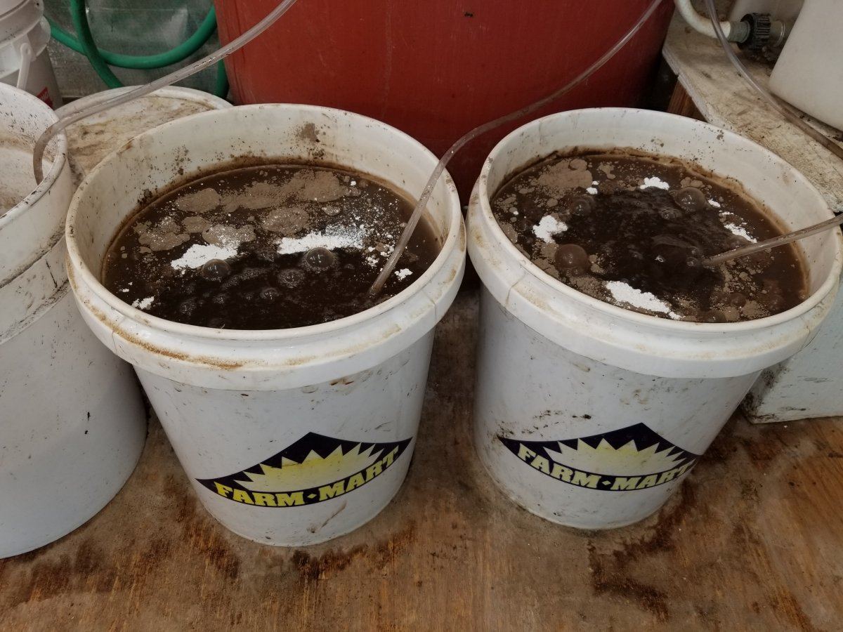 Compostteapic1