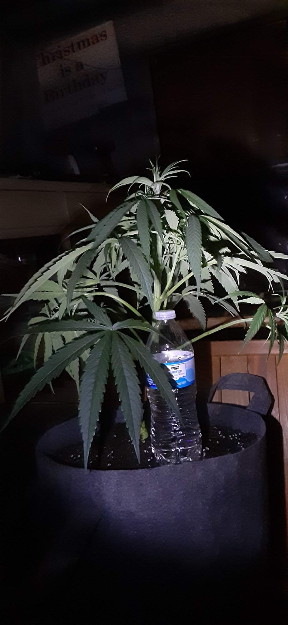 Concerned with my species or strain 9