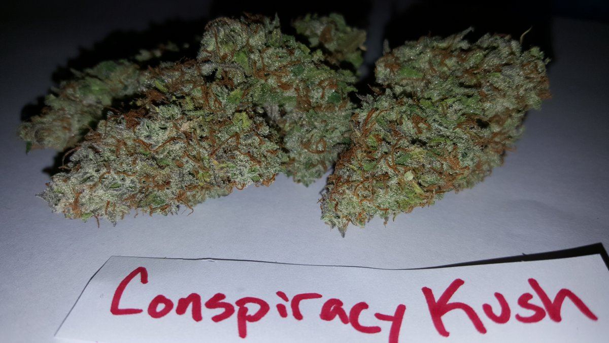 Conspiracy Kush 10 2015 2