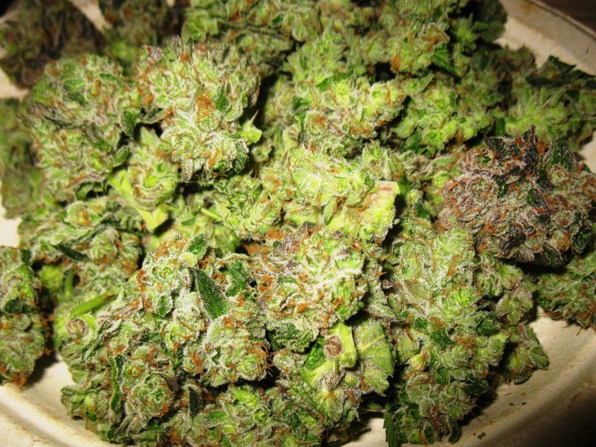 Cookie 4 123