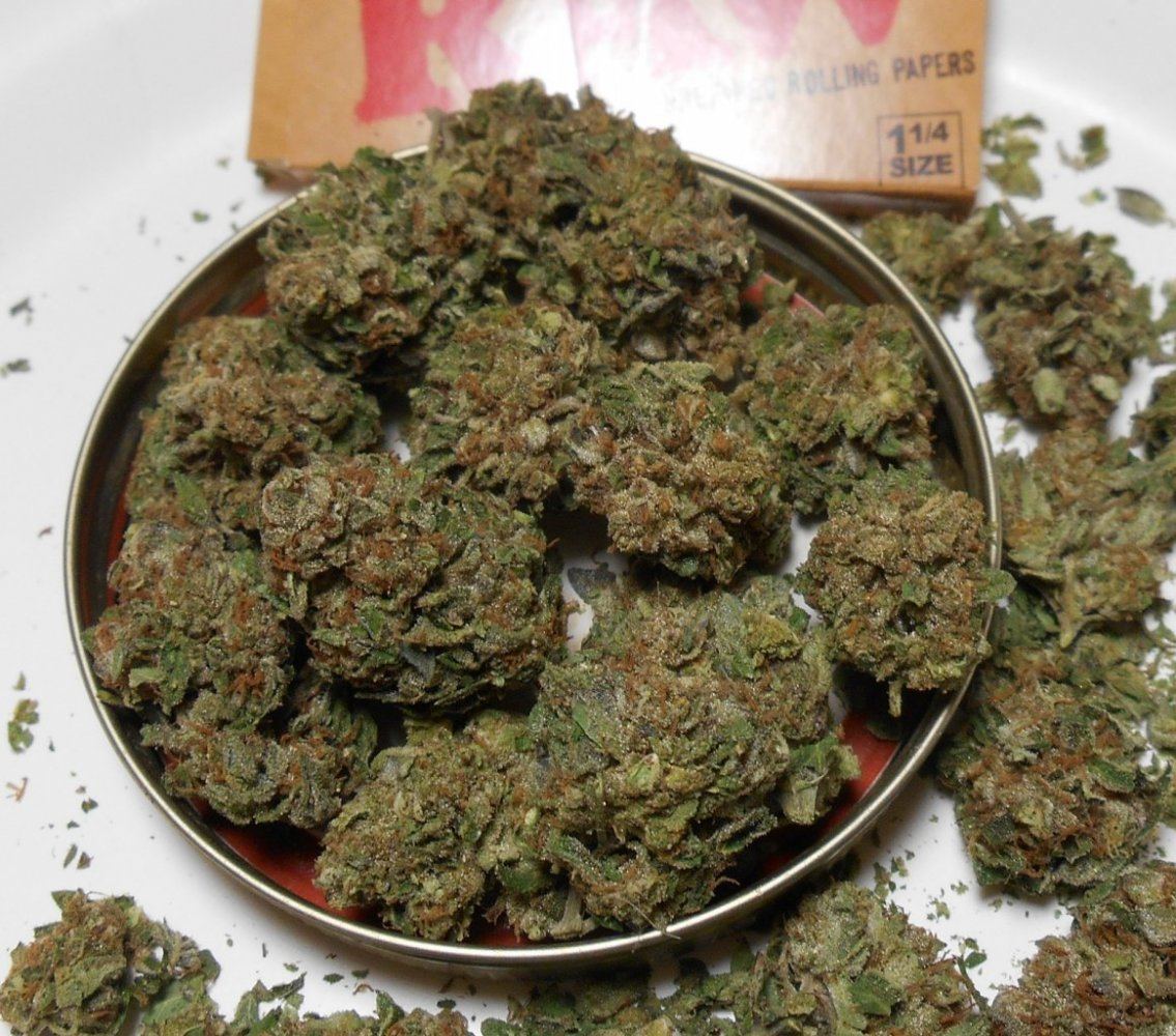 Cookiejar624