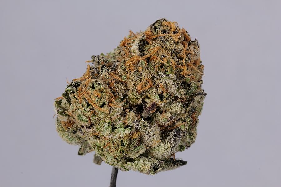 Cookiemonster0101