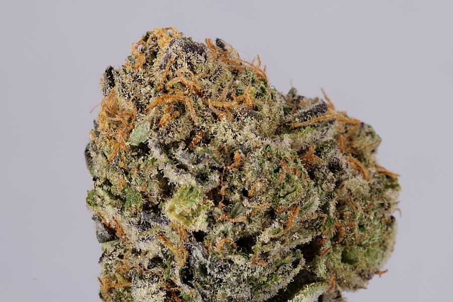 Cookiemonster0109