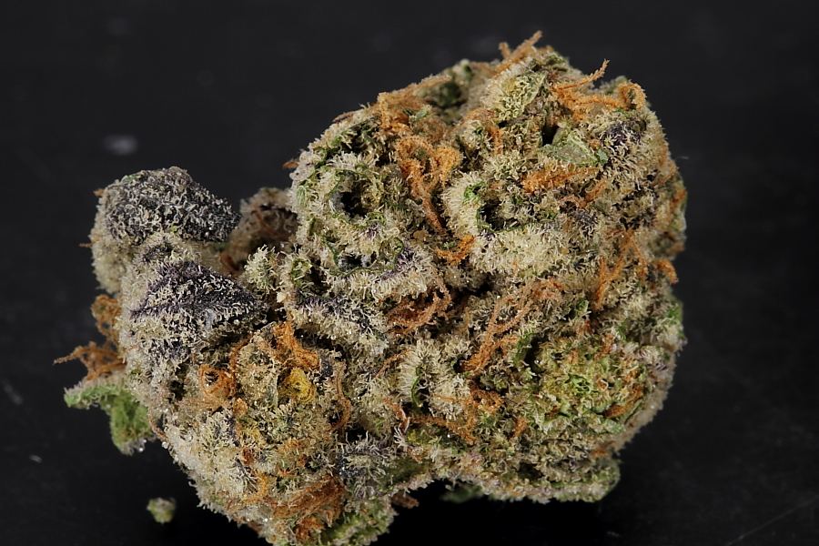 Cookiemonster0126