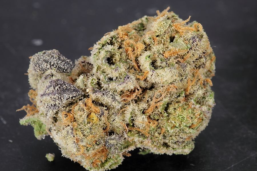 Cookiemonster0129