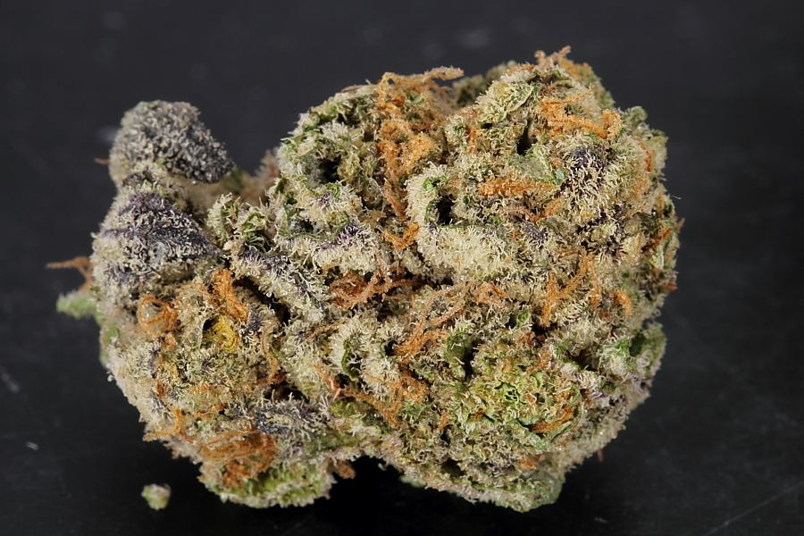 Cookiemonster0131