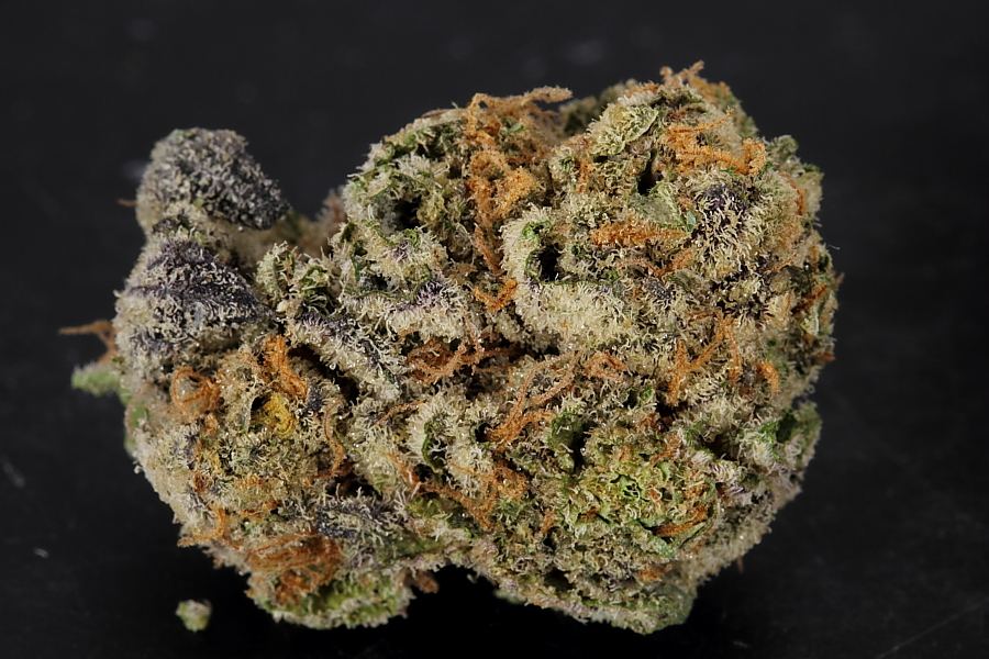 Cookiemonster0132