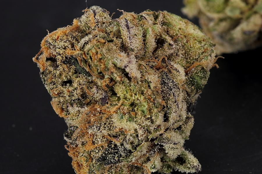 Cookiemonster0133