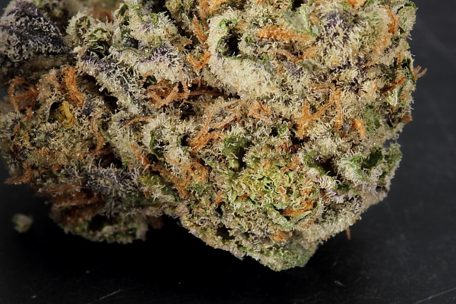Cookiemonster0138