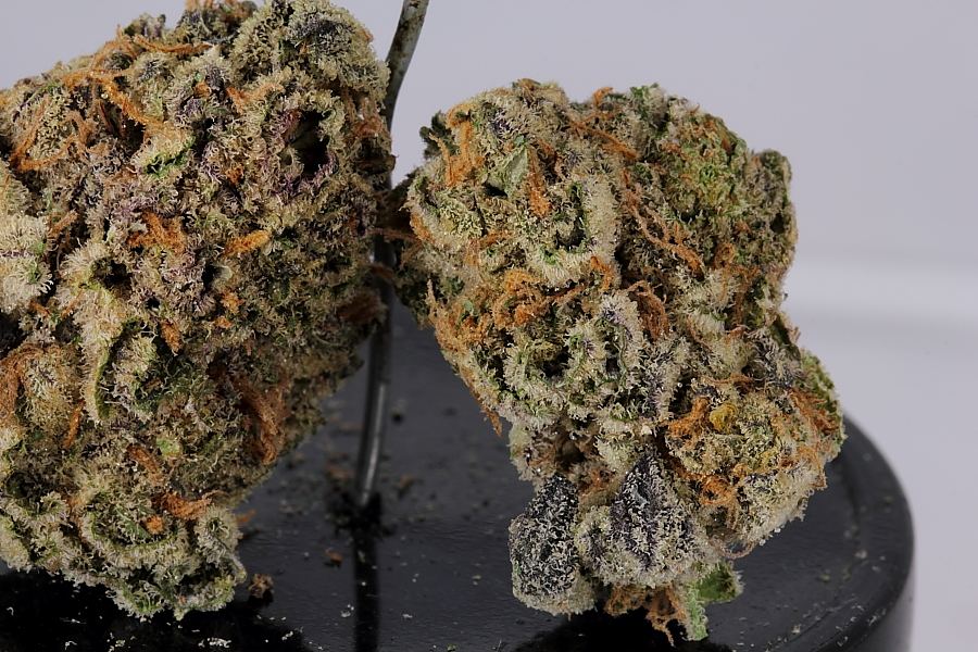 Cookiemonster0150